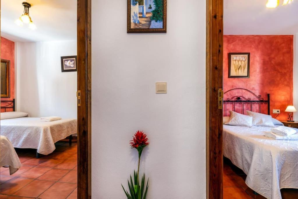 شقة Casa Jose Capileira - Alpujarra المظهر الخارجي الصورة